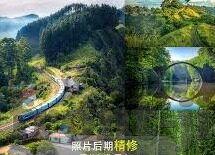 男篮世界杯净胜分排名-男篮世界杯净胜分排名，衡量实力与表现的标尺