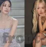 世界杯比利时队员介绍-世界杯比利时队员介绍，黄金一代的璀璨星光